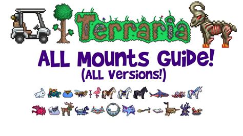 terraria mounts guide.